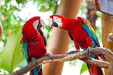 《战神：诸神黄昏》角色视觉图 奎爷依旧霸气