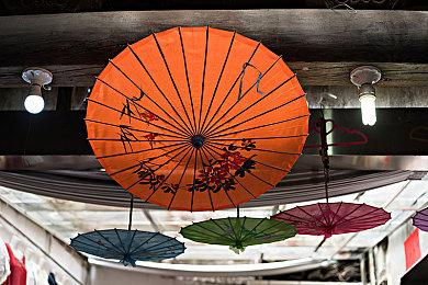 《风来之国》DLC《复活吧！海鸥镇》将于1月31日发售